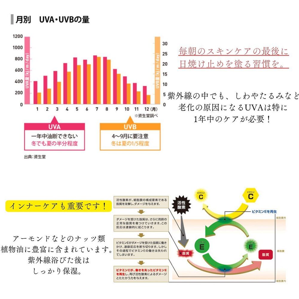 画像1482