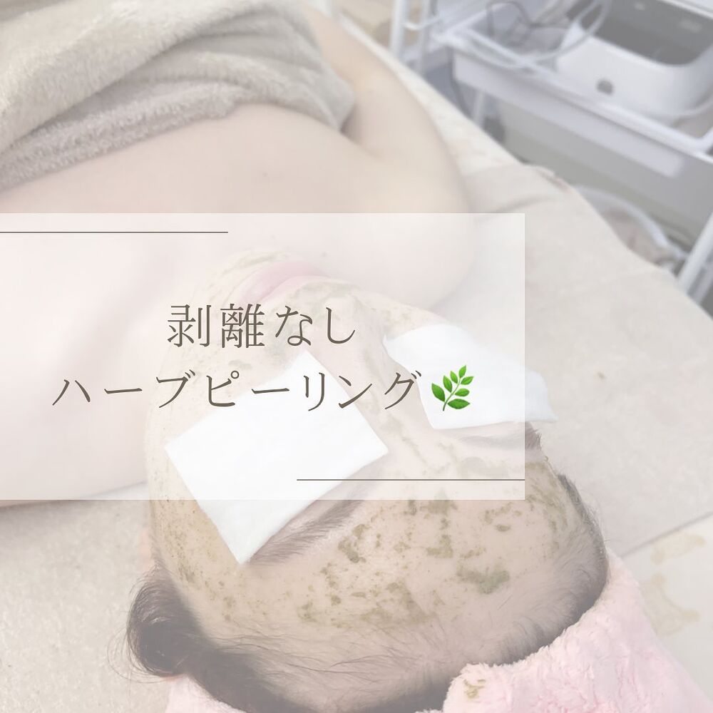 画像1488