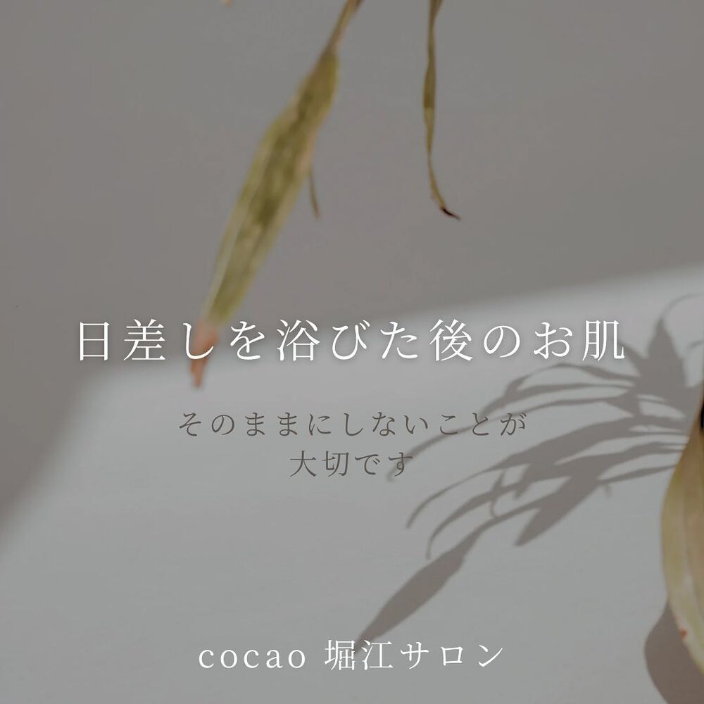 画像1523