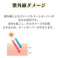 画像1604