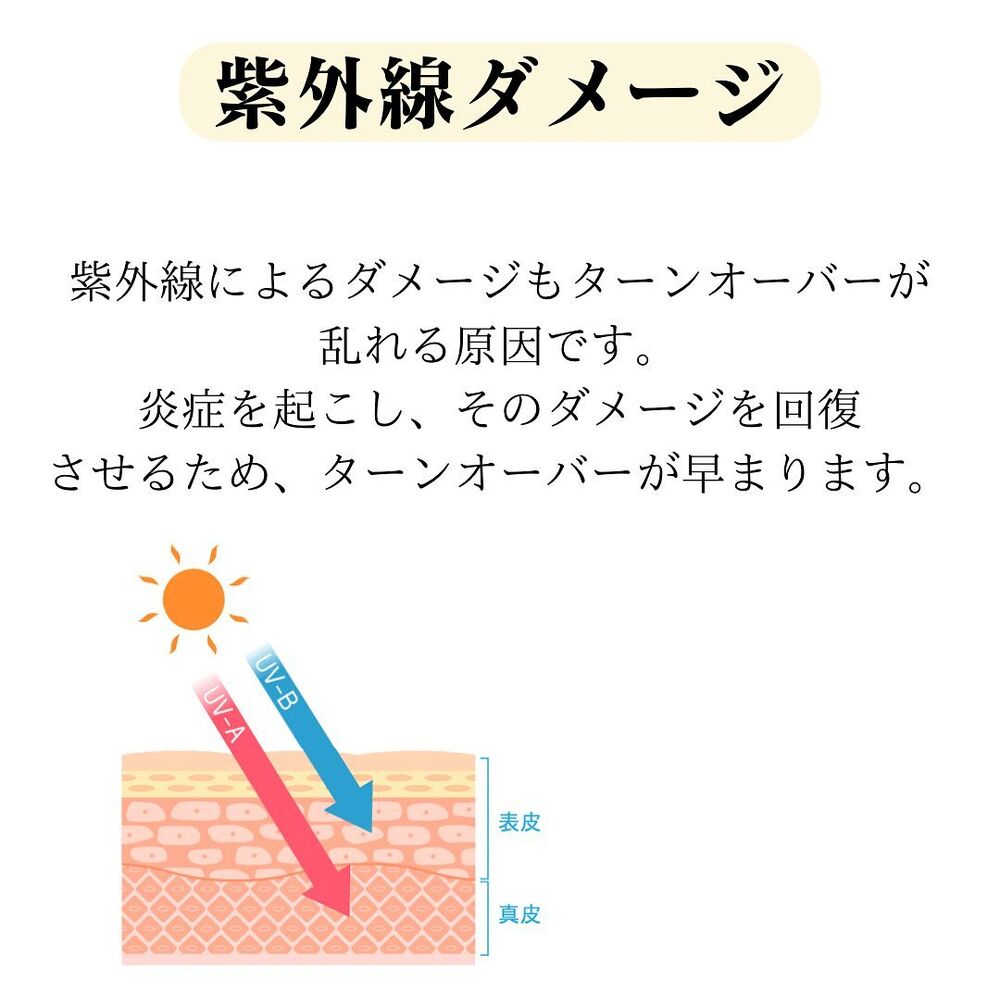 画像1604