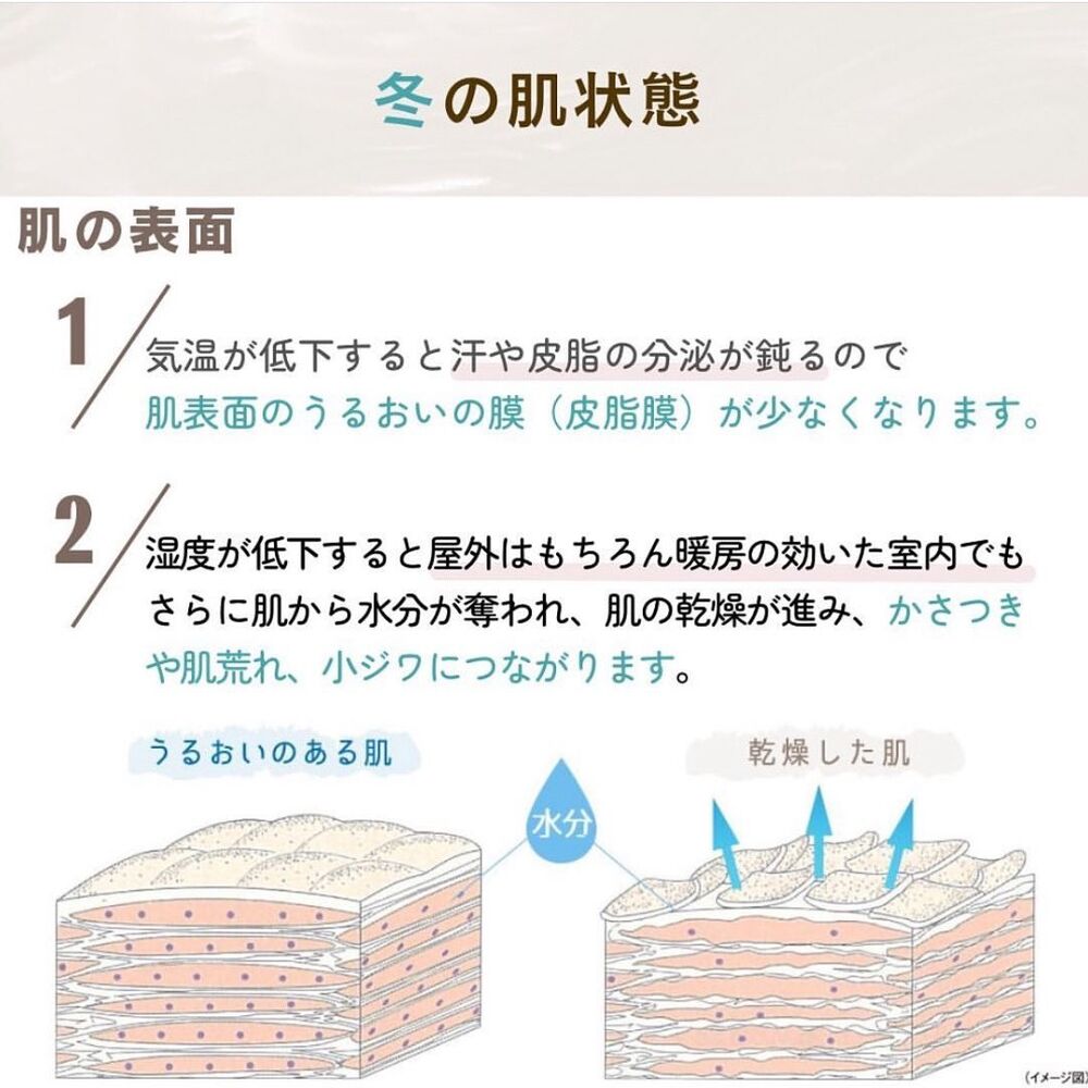 画像1617